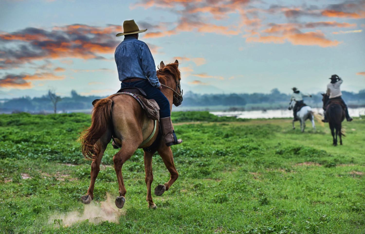 Roteiro para o Feriado da Independência em Monte Verde