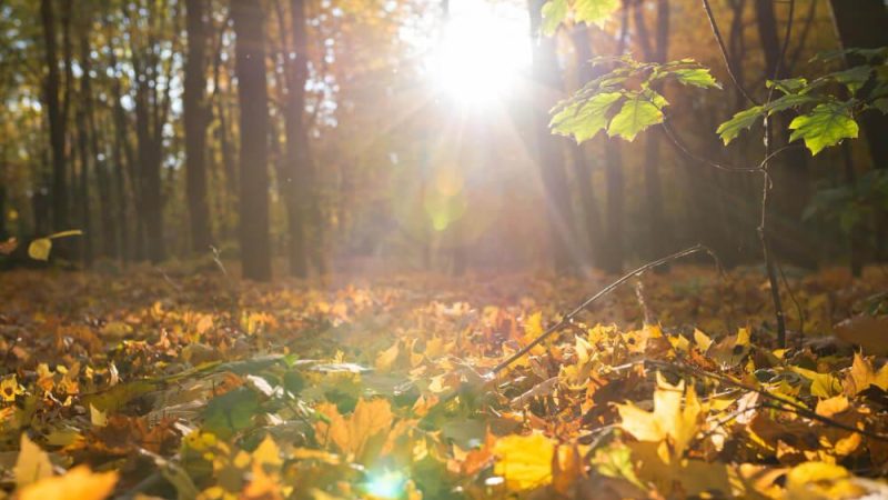 3 passeios para fazer em Monte Verde no outono