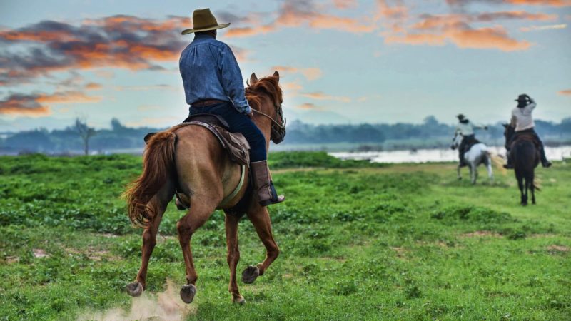Roteiro para o Feriado da Independência em Monte Verde